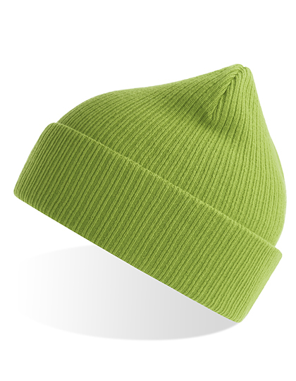 Atlantis Nelson Beanie in Leaf Green