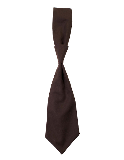 CG Workwear Tie Messina in Chocolate